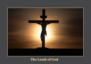Lamb of God
